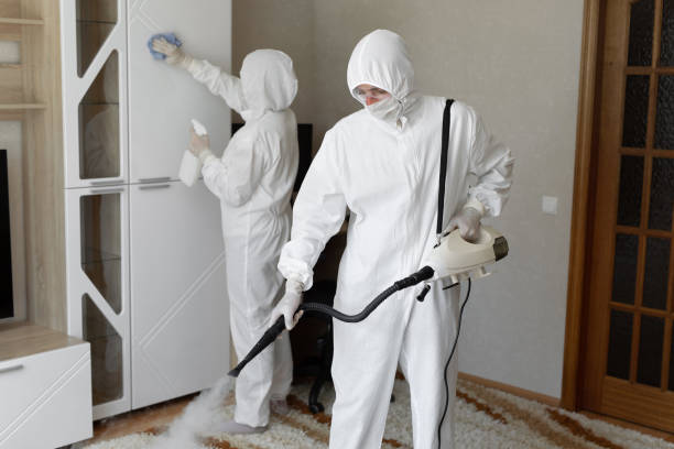 Best Mold Damage Repair  in South Park, WY